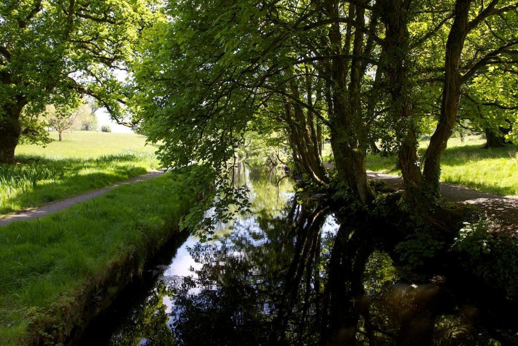 Tully'S Hotel Castlerea Экстерьер фото